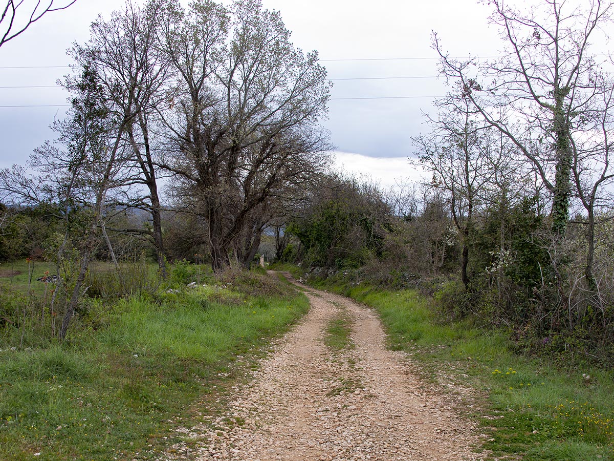 Weg
